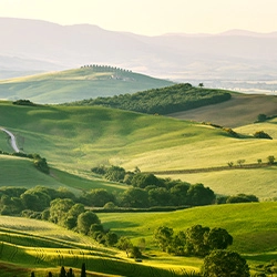 Kategorie Bild Landschaft