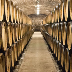 Korridor Perspektiven