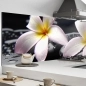 Mobile Preview: Küchenrückwand Aluverbund Blume Spa Bild 1
