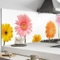 Mobile Preview: Küchenrückwand Aluverbund bunte Gerbera Blumen Bild 1