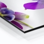 Preview: Küchenrückwand Aluverbund farbige Blumen Bild 2