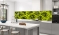 Preview: Küchenrückwand Aluverbund grüne Rosen Bild 3