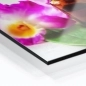 Mobile Preview: Küchenrückwand Aluverbund lila Blüten Bild 2