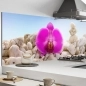 Mobile Preview: Küchenrückwand Aluverbund lila Orchidee mit Steinen Bild 1