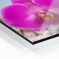 Preview: Küchenrückwand Aluverbund lila Orchidee mit Steinen Bild 2