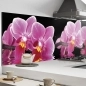 Mobile Preview: Küchenrückwand Aluverbund Orchideen rosa schwarz Bild 1
