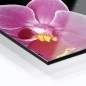 Preview: Küchenrückwand Aluverbund Orchideen rosa schwarz Bild 2