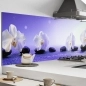 Preview: Küchenrückwand Aluverbund Orchideen Zen Steine Bild 1
