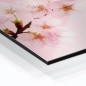 Mobile Preview: Küchenrückwand Aluverbund Rhododendron rosa Bild 2