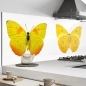 Mobile Preview: Küchenrückwand Aluverbund Schmetterling gelb Bild 1