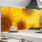 Preview: Küchenrückwand Aluverbund Sonnenblumen Bild 1