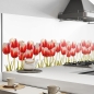 Preview: Küchenrückwand Aluverbund Tulpen Pflanzen Bild 1