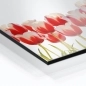 Preview: Küchenrückwand Aluverbund Tulpen Pflanzen Bild 2