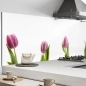Mobile Preview: Küchenrückwand Aluverbund Tulpen pink Bild 1