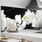 Mobile Preview: Küchenrückwand Aluverbund weisse Orchidee Bild 1