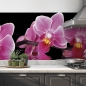 Preview: kuechenrueckwand folie orchideen rosa schwarz bild 2