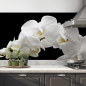 Mobile Preview: kuechenrueckwand folie orchideen zweig bild 2