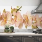 Mobile Preview: kuechenrueckwand folie orchideenstrauß bild 2