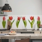 Mobile Preview: kuechenrueckwand folie rote tulpen bild 4