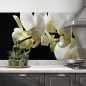 Mobile Preview: kuechenrueckwand folie weisse orchideen bild 2