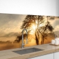 Mobile Preview: Küchenrückwand Folie Baum beim Sonnenlicht Bild 1