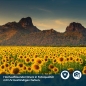 Preview: Küchenrückwand Folie Sonnenblumen Landschaft Bild 5