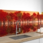Mobile Preview: Küchenrückwand Folie Herbstwald Bild 1