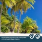 Mobile Preview: Küchenrückwand Folie tropischer Strand mit Palmen Bild 5
