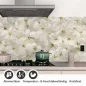 Preview: Küchenrückwand Folie weiße Kirschblüten Detailbild 1