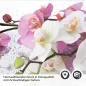 Preview: Küchenrückwand Folie Orchidee in Pink & Weiß Detailbild 2