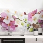 Preview: Küchenrückwand Folie Orchidee in Pink & Weiß Hauptbild 1
