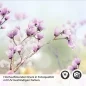 Preview: Küchenrückwand Folie Frühlingsblumen Detailbild 2