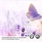 Preview: Küchenrückwand Folie Lavendel Detailbild 2