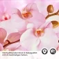 Preview: Küchenrückwand Folie rosa Orchideen Detailbild 2