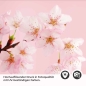 Preview: Küchenrückwand Folie Kirchblüten Detailbild 2