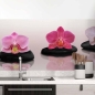 Preview: Küchenrückwand Folie Orchidee & Zen Steine Hauptbild 1