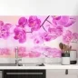 Preview: Küchenrückwand Folie Orchidee über dem Wasser Hauptbild 1