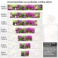 Preview: Küchenrückwand Folie Steine Orchideen Bambus & Kerzen Höhe 60cm
