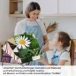 Preview: Küchenrückwand Folie Margeriten Blumen A4 Muster