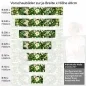 Preview: Küchenrückwand Folie Margeriten Blumen Höhe 60cm