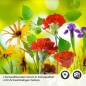 Preview: Küchenrückwand Folie Blumenwiese Detailbild 2