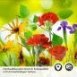 Preview: Küchenrückwand Folie Blumenwiese Detailbild 2