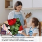 Preview: Küchenrückwand Folie rote Rosen A4 Muster