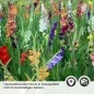 Preview: Küchenrückwand Folie bunte Blumen & Wiese Detailbild 2