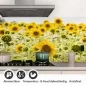 Preview: Küchenrückwand Folie blühendes Sonnenblumenfeld Detailbild 1