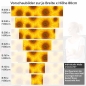 Preview: Küchenrückwand Folie Sunflowers Höhe 80cm