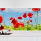 Preview: Küchenrückwand Folie Mohnblumen Feld Hauptbild