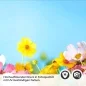 Preview: Küchenrückwand Folie Blumen im Frühling Detailbild 2