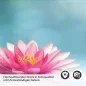 Preview: Küchenrückwand Folie Seerose & Zen-Steine Detailbild 2