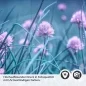 Preview: Küchenrückwand Folie Frühlingszwiebel Blüte Detailbild 2